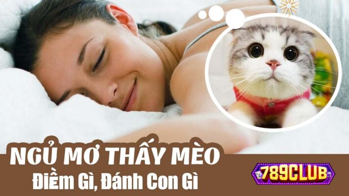 Ngủ mơ thấy mèo đánh con gì?